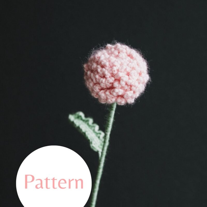 Field Daisy #30